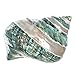 Hermit Crab Shells | Turbo Shells | Jade Green Banded Turbo Shell 4
