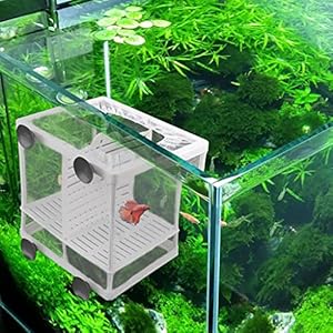Aquarium Fish fokkerij box aquarium vis broederij isolatie netto vis tank incubator doos hangende aquarium accessoire…