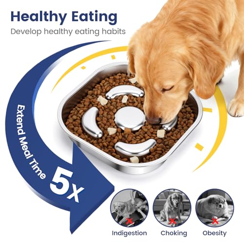 PETTOM Antischlingnapf Hunde Edelstahl, Anti Schling Napf Hund 23 * 23cm, Slow Feeder Hundenapf rutschfest Spülmaschinenfest für Große und Mittelgroße Hunde