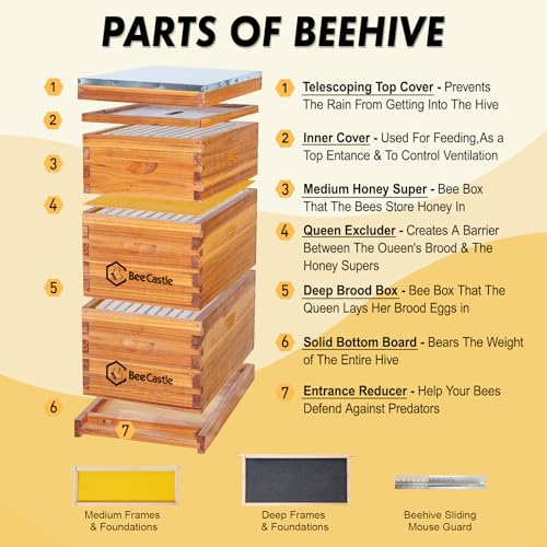 BeeCastle 10 Frame Langstroth Bee Hive Coated with Beeswax Includes Beehive Frames and Waxed Foundations (2 Deep Boxes & 1 Medium Box)