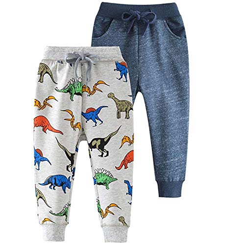 OutTop Toddler Baby Boys Girls Joggers Sweatpants 2-Piece Set Funny Graphic Drawstring Elastic Waist Dinosaur Slacks (B, 2-3 Years)