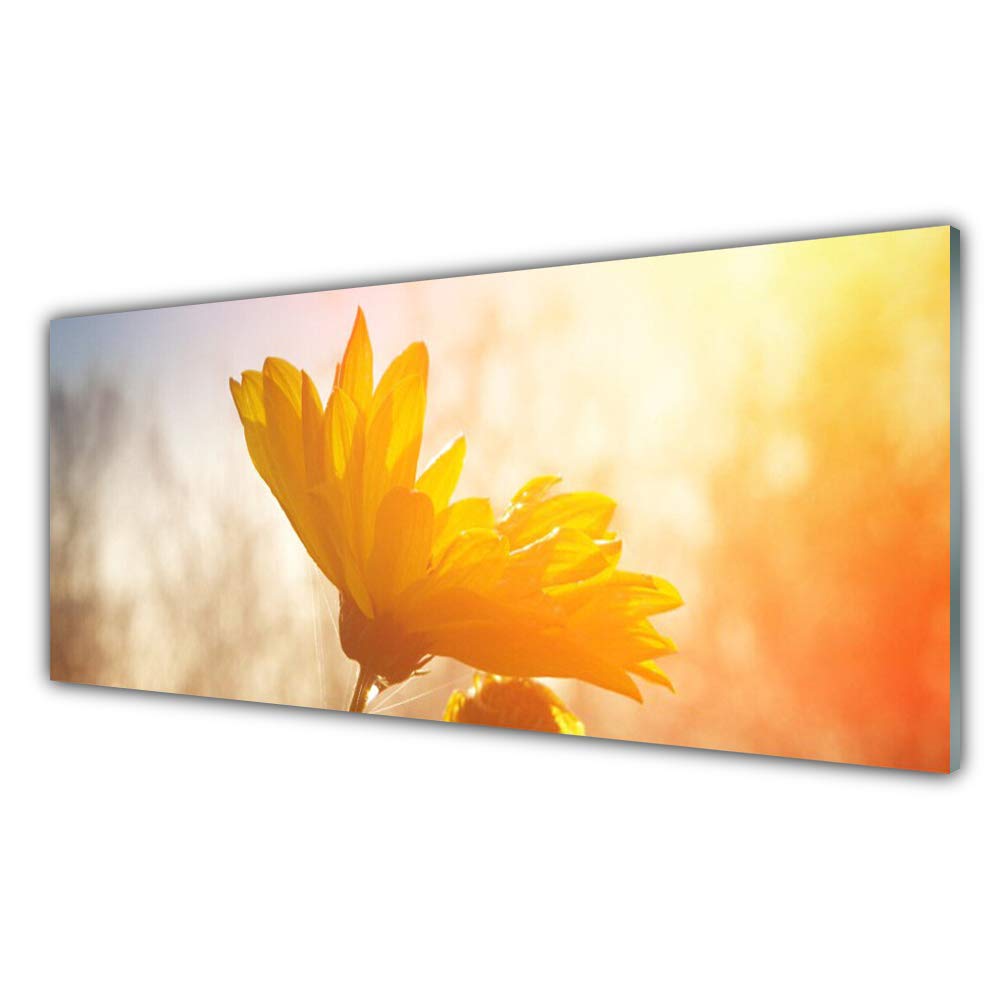 Tableau Tournesol Floral en Verre Trempé 125x50cm Tulup pour Décoration Murale Moderne
