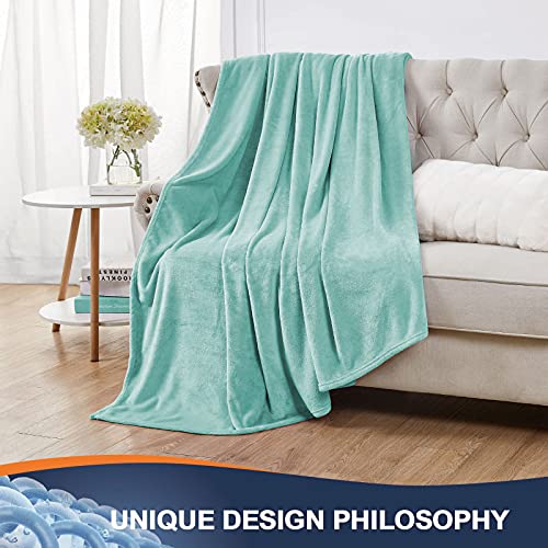 Walensee Fleece Blanket Plush Throw Fuzzy Lightweight (Xl-Twin Size 66X90 Light Blue) Super Soft Microfiber Flannel Blankets For Couch, Bed, Sofa Ultra Luxurious Warm And Cozy For All Seasons #TOP3