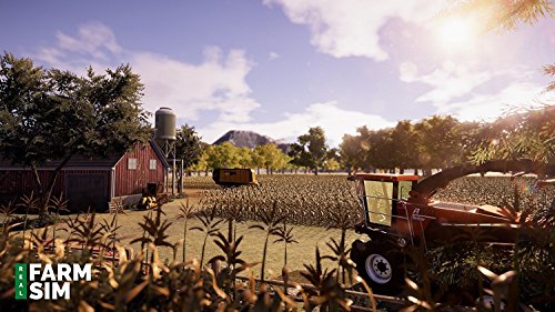 Real Farm Pc - vue 7
