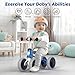 allobebe Baby Balance Bike for 1 Year Old, Toddler First Balance Bike, No Pedal Infant 4 Wheels Baby Walker First Birthday Gift, Mini Bike for 12-24 Months, Shinning Blue