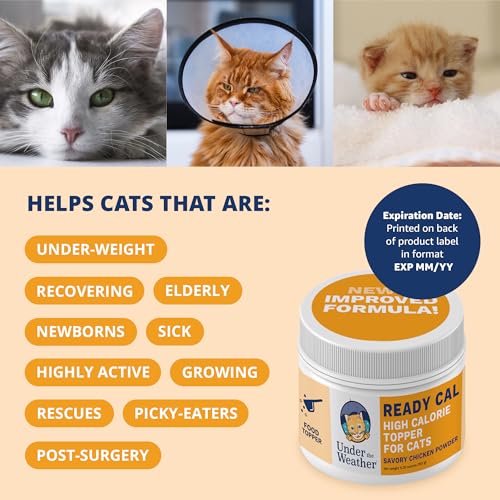 Image of Under the Weather Ready Cal Powder for Cats | High-Calorie Weight Gainer & Appetite Stimulant | Cat Energy Booster Veterinarian-Approved Pet Supplement with Vitamins & Minerals | Chicken Flavor