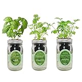 Environet Hydroponic Herb Growing Kit Set, Self-Watering Mason Jar Herb Garden Starter Kit Indoor,...