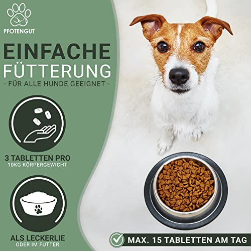 PFOTENGUT® Relax Tabletten 120 Stück [Made in Germany] - Hunde Beruhigungsmittel mit Taigawurzel, Baldrian & Hanfpulver - Natürliches Beruhigungsmittel für Hunde - Verbesserte Version 2023