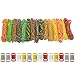Paracord Planet 550lb Type III Paracord Combo Crafting Kits with Buckles