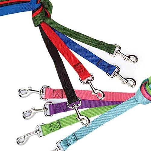 bulk dog leashes