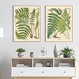 OTURRI Vintage Farn Botanische Poster Kunstdrucke Pflanzen 
