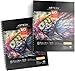 ARTEZA 11x14" Mixed Media Sketch Book, 2 Pack, 110lb/180gsm, 120 Sheets (Acid-Free, Micro-Perforated), Spiral-Bound Pad, Ideal for Wet and Dry Media, Sketching, Drawing, and Painting