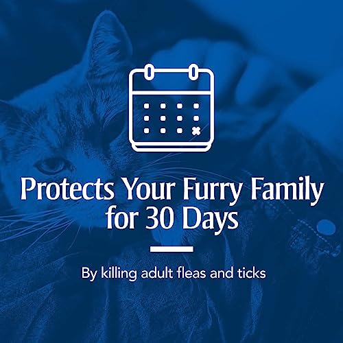 PetArmor for Dogs, Flea and Tick Treatment for Small Dogs (5-22 Pounds), Includes 6 Month Supply of Topical Flea Treatments PetArmor for Dogs, Flea and Tick Treatment for Small Dogs (5-22 Pounds), Includes 6 Month Supply of Topical Flea Treatments