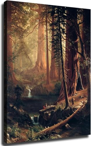 Giant Redwood Trees canvas framed 16x24