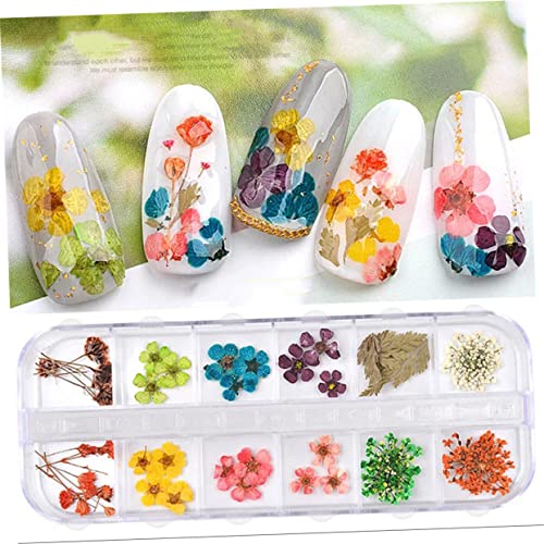 FRCOLOR 3 Caixas Adesivos De Flores Secas Prensadas Naturais Acessórios De Resina De Flores Secas Fl