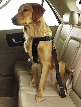 T NEKE Pet Vehicle Seat Belt Cat Dog Car Collar Auto Accessories BLACK
