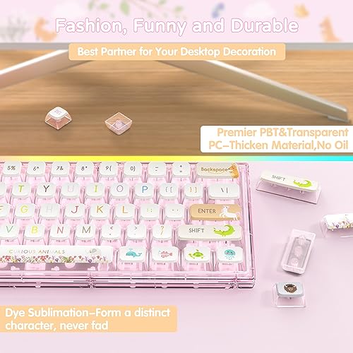 MAMBASNAKE 120 Keys PBT Pudding Keycaps Set,ASA Profile,Dye-Sublimation,ANSI US Layout for 61 68 87 98 104 108 Mechanical Keyboard,Compatible with Cherry Gateron Otemu Kailh MX Structure(Animal World) - Image 3