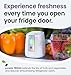 Greentech Environmental pureAir FRIDGE - Refrigerator Odor Eliminator and Air Freshener - Extends Life of Food - Home Essentials For Mini, Small, and Large Fridges