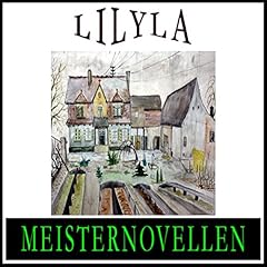 Meisternovellen 9 Audiolibro Por div. arte de portada