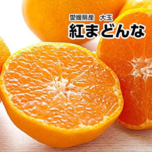 yQYz g܂ǂ Gi ݂ ϔ ʌ 3L`4LTCY 