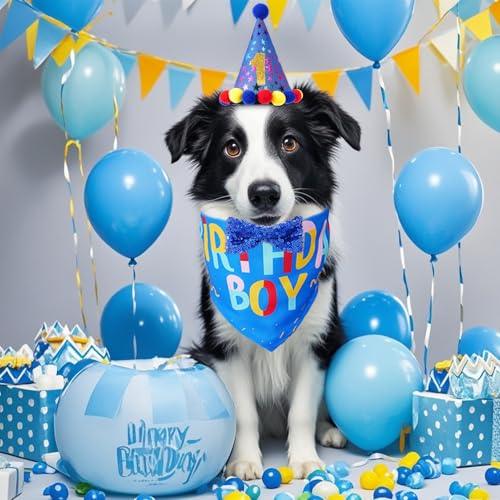 Haakong Conjunto de chapéu bandana de festa de aniversário para cães, cachecol bandana de aniversári