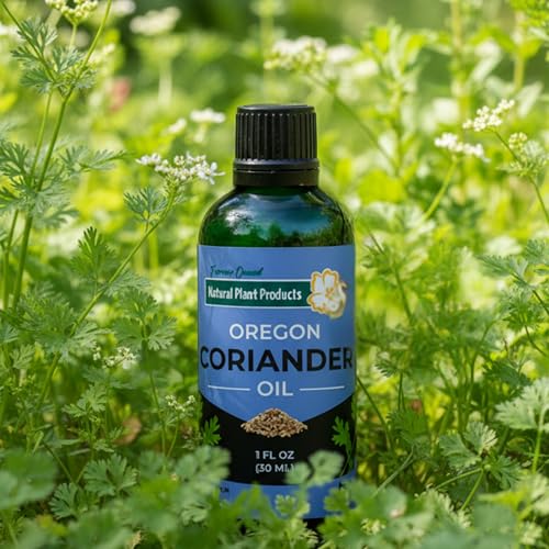 Aceite Esencial de Cilantro 100% Puro para Aromaterapia miniatura 5