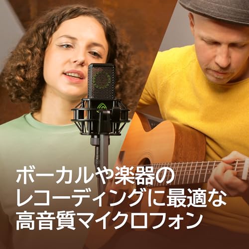 LEWITT マイク コンデンサー ボーカル 楽器 レコーディング 8つの極性タイプ LCT 441 FLEX