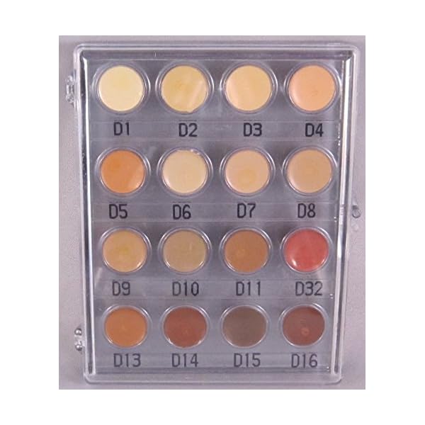 Kryolan 71006 Dermacolor Camouflage Mini palette, 16 Colors. 3 Color Variations (MEDIUM, Nr.1, Nr. 2) (Medium)