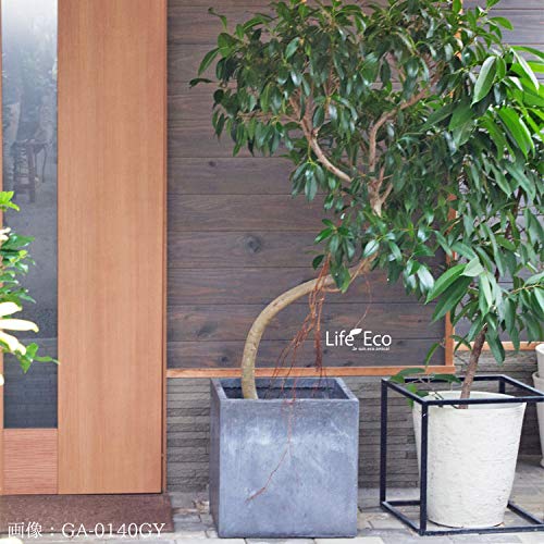 Amazon.co.jp: ファイバークレイ製 軽量 大型植木鉢 バスク キューブ 