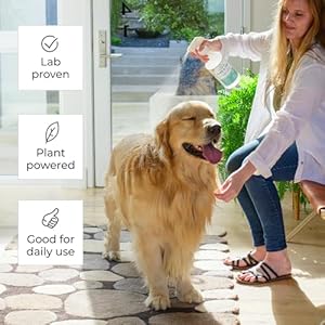 Wondercide  flea tick  mosquito spray for dogs cats and home  tick killer control prevention treatment  with natural essential oils  pet and family safe  cedarwood 16 oz   cucciolini doodles