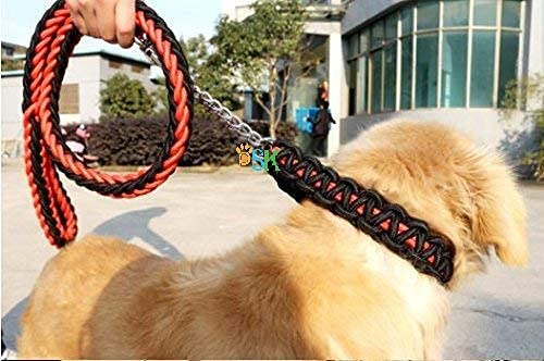 PSK PET MART Nylon Dog Leash for Large Dogs with Extra Strong Brass Snap Hook Large (Black/Red) (B09D9LSMMK) Amazon Price History, Amazon Price Tracker