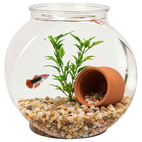Koller Products 1-Gallon Fish Bowl, Impact-Resistant Plastic