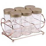 Creative Home 50270 Set of 6 Glass Spice Bottle Jar with Copper Finished Rack Organizer