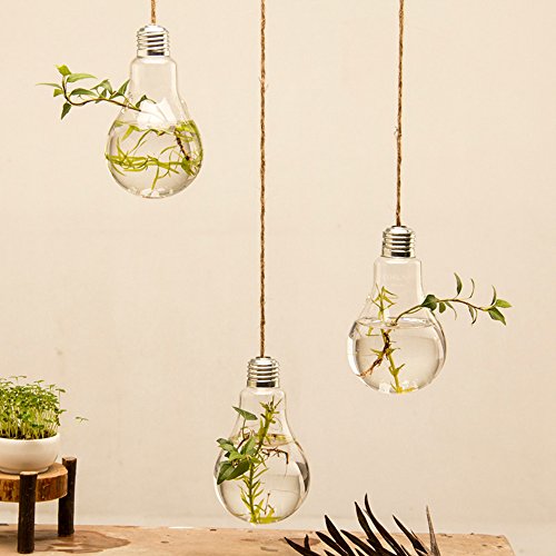 Mkono 3 Pack Hanging Terrarium Flower Plant Glass Vase Light Bulb Shape Home Weeding Decor