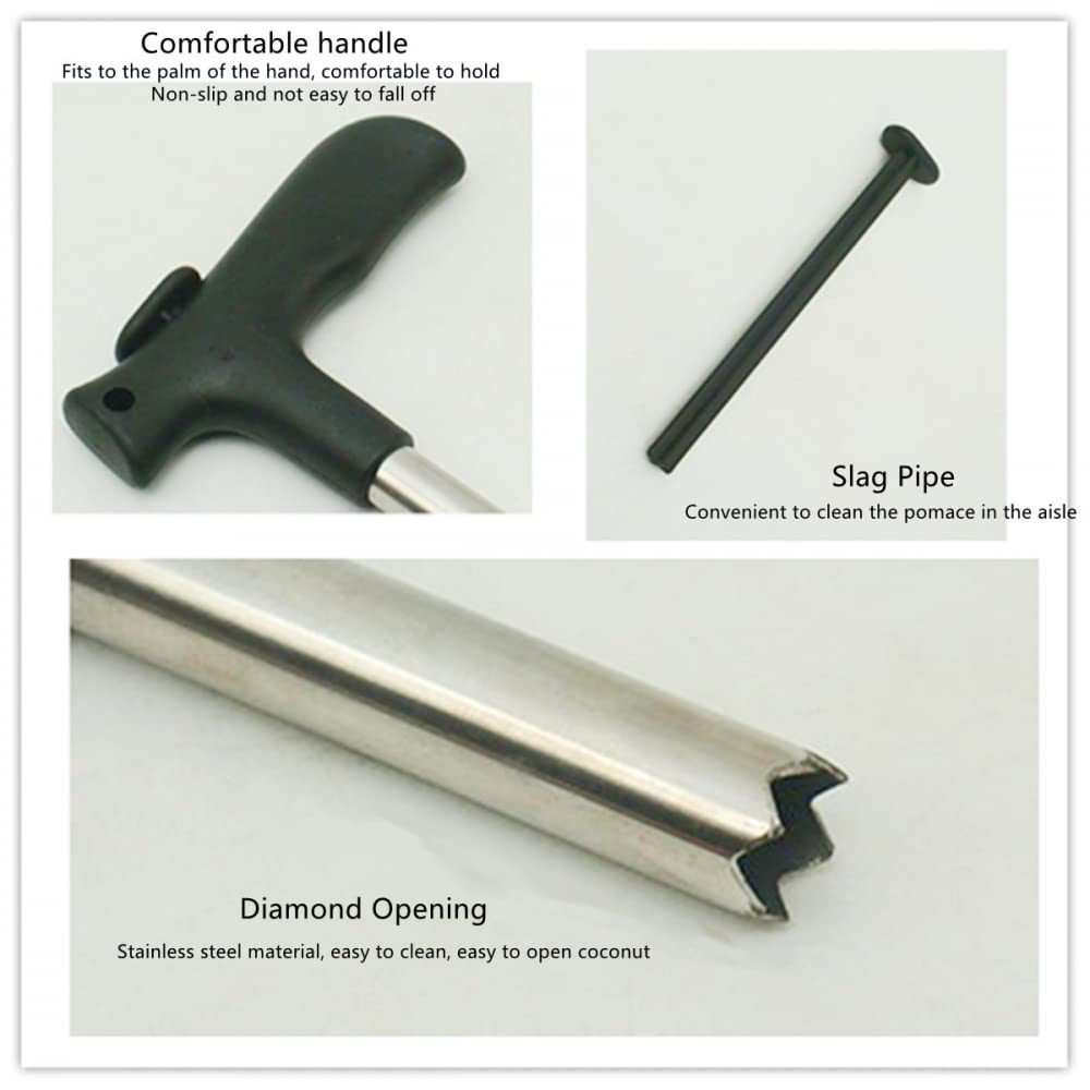 Amazon｜ココナッツオープニングツール ステンレススチール パンチ