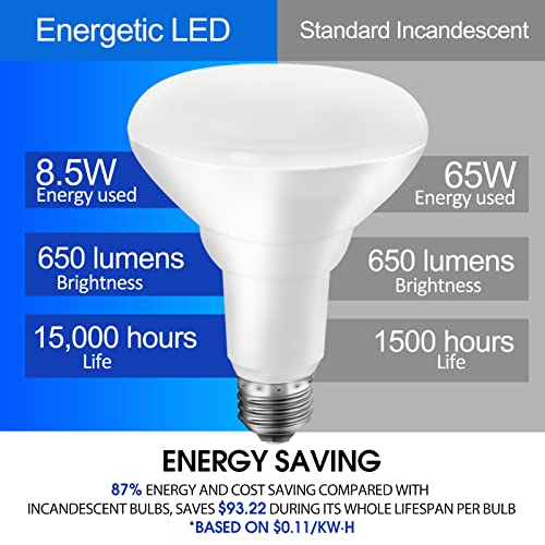 Energetic Led Flood Light Bulbs Br30 Indoor, 65W Equivalent, Dimmable, Daylight 5000K, Indoor Flood Lights For Recessed Cans, Ul Listed, 12 Pack #TOP4
