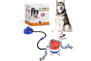 Interactive Snack & Treat Puzzle Ball for Pets