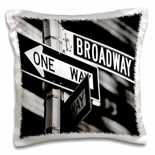 3dRose PC 1193 _ 1 Broadway-Pillow Caso, 16 por 16 "