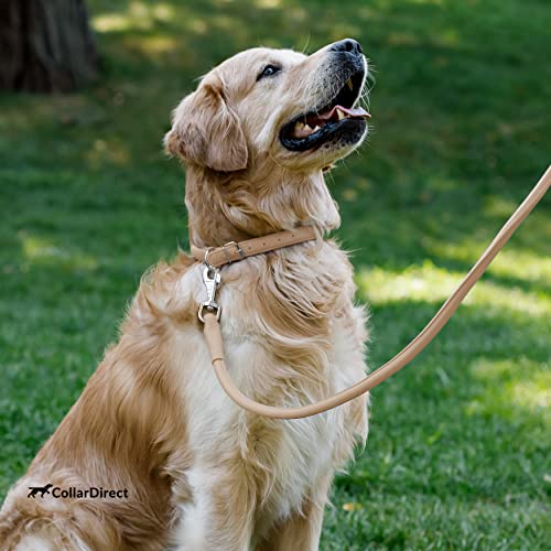 Collardirect Rolled Leather Dog Collar, Soft Padded Round Puppy Collar, Handmade Genuine Leather Collar Dog Small Large Cat Collars 13 Colors (20-23 Inch, Beige Textured) #TOP7