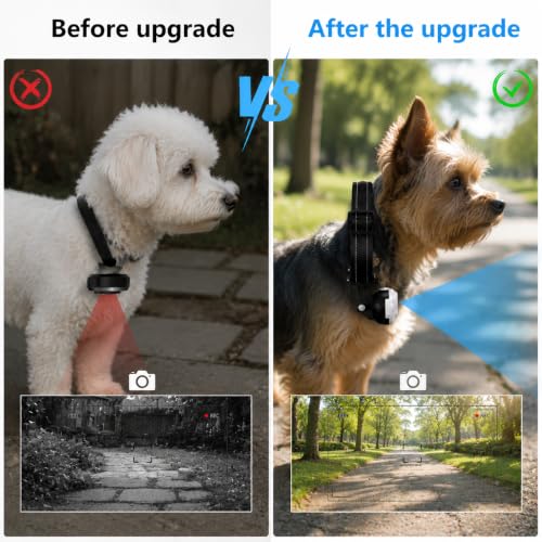 Image of Updated Cat Collar Camera,Pet Sport Camera with Video Records,Wireless Mini Body Small Cam HD 1080P Security Cameras Outdoor /Indoor Puppy Supplies /Stuff Birthday Gift No WiFi Needed