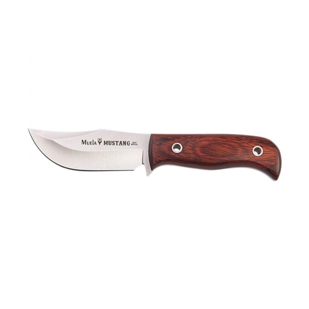 Muela cuchillo de caza MUSTANG MUSTANG-8R con hoja de acero inoxidable ACX-380 de 8 cm y empuñadura de madera coral de 9 cm para Caza, Pesca, Supervivencia y Bushcraft + Portabotellas de regalo
