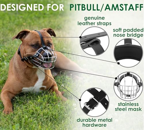 BRONZEDOG Maulkorb für Hunde aus Metall – Amstaff Drahtkorb mit verstellbaren Lederriemen für große Hunde