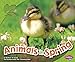 Animals in Spring (All About Spring)