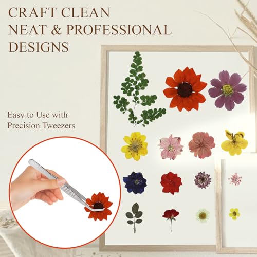 Kit de flores prensadas AZY con 33 piezas naturales secas miniatura 2