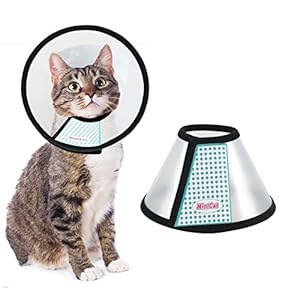 MintCat Katzenkegel Halsband M