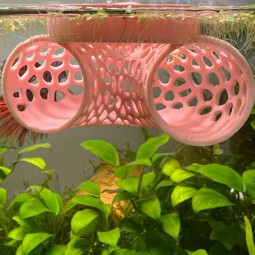 Image of Floating Betta Tunnel for Betta Training. Interactive Training & Enrichment Toy for Betta Fish - Stress Relief & Exercise Accessory, Floating Betta Fish Toys