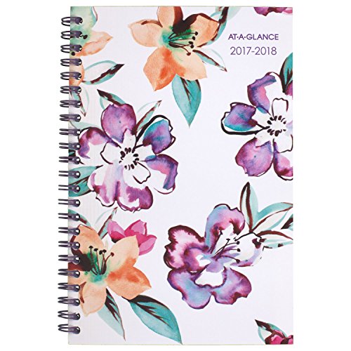 AT-A-GLANCE Academic Weekly / Monthly Planner, July 2017 - June 2018, 4-7/8