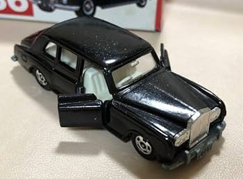 51MizJiNnAL._AC_UF350,