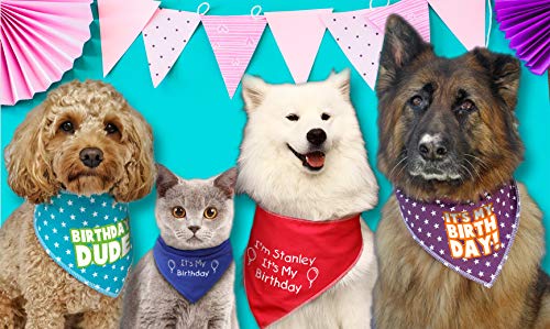 Spoilt Rotten Pets S2 Personalised Blue It's My Birthday Dog Bandana Party Dress Up Dog Costume Gift - Image 5