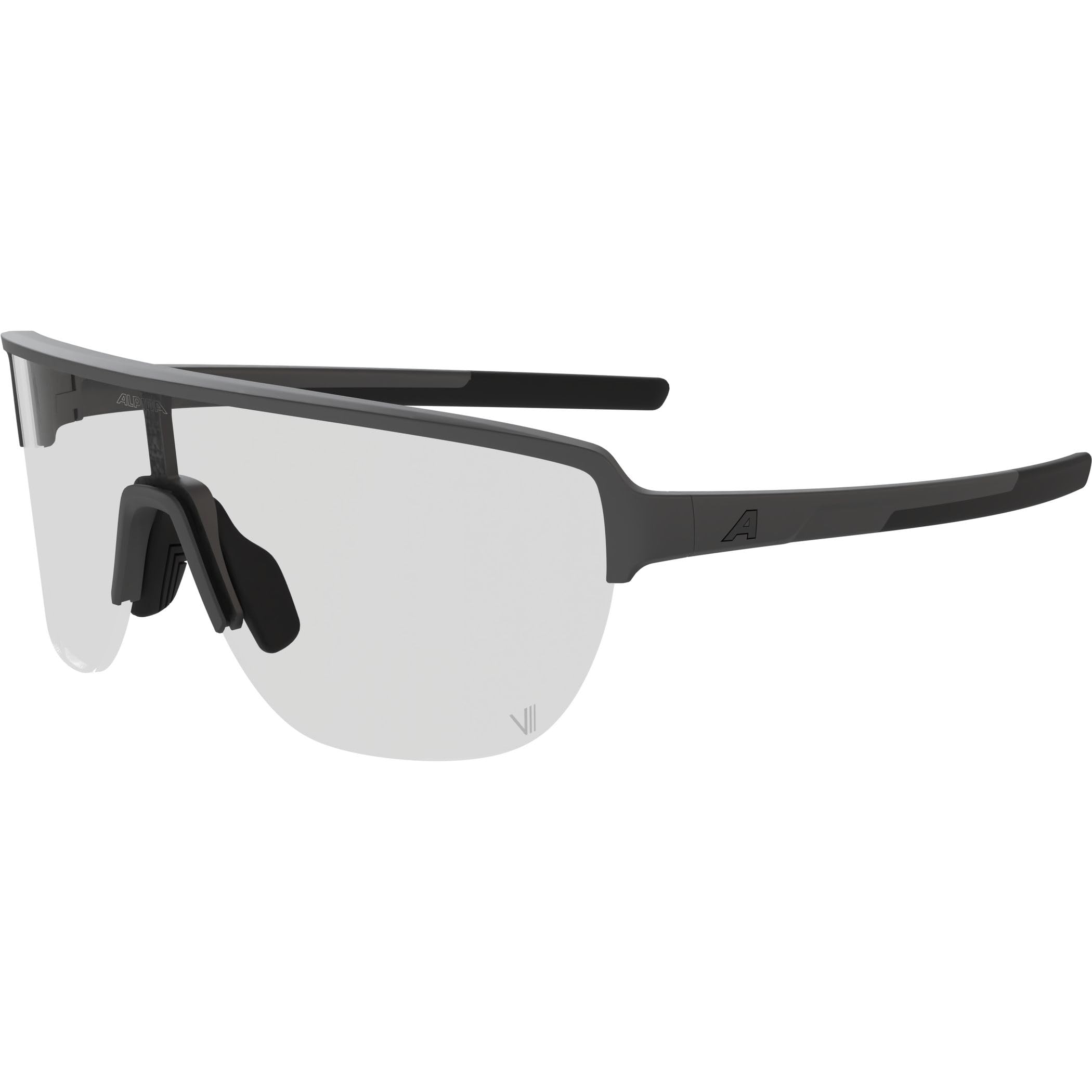 ALPINA Ram 2.0 V Sunglasses Mixte (lot de 1)